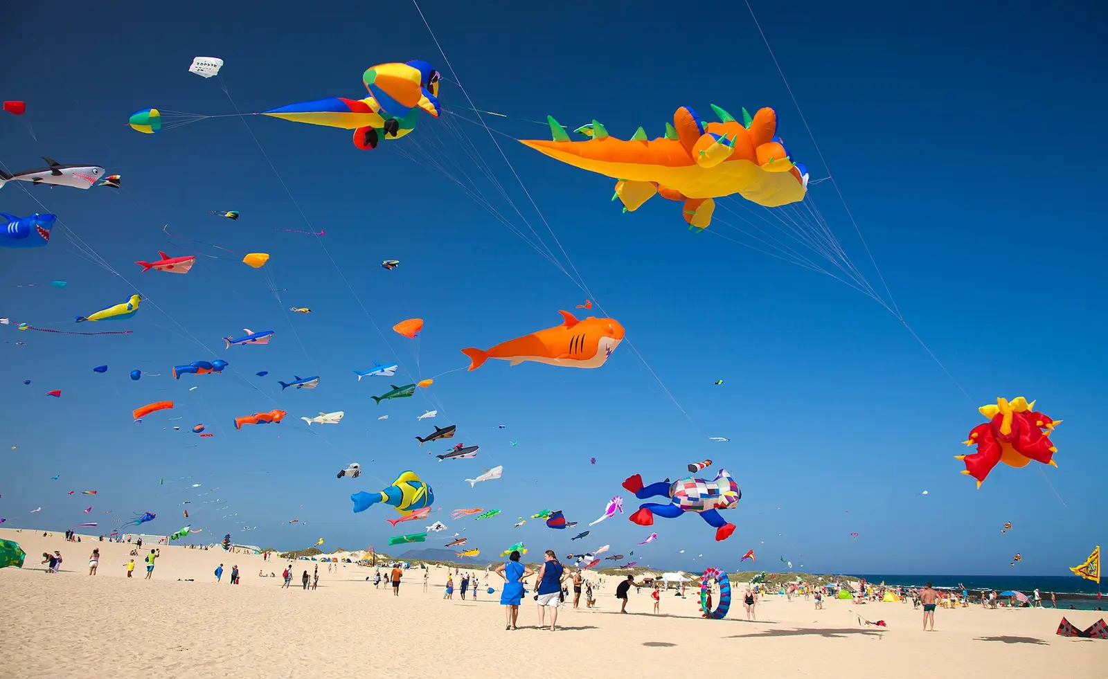 Colourful kites flying over the Corralejo dunes during the Fuerteventura kite festival