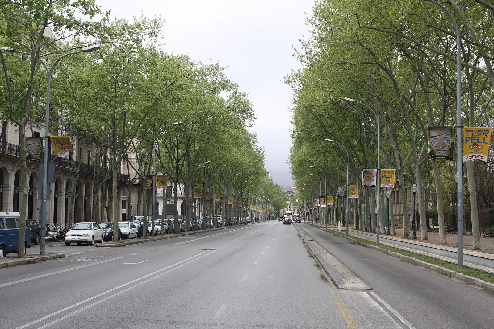 Tree lined Passeig de Picasso in Barcelona